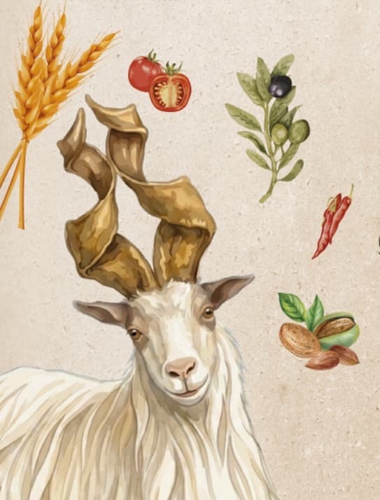 Valle Templi: biodiversità, semina di fave, degustazioni e laboratori