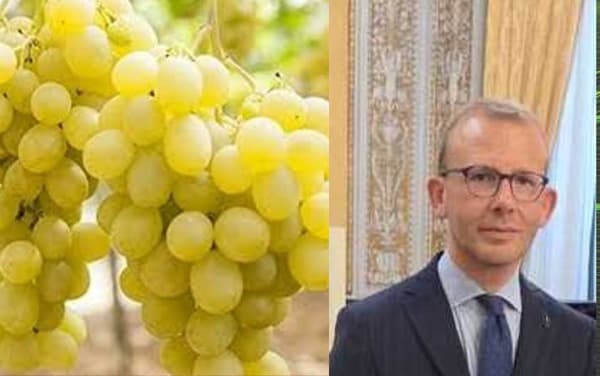 Blocco tir: uva da tavola potrà viaggiare e raggiungere i mercati