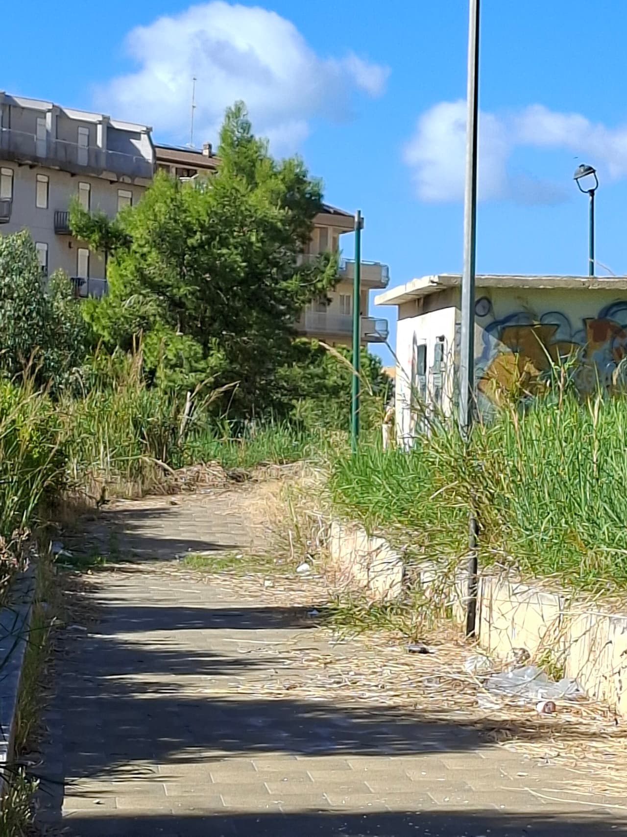 Favara, una cittadina chiede la pubblicazione delle foto sul degrado delle ville comunali